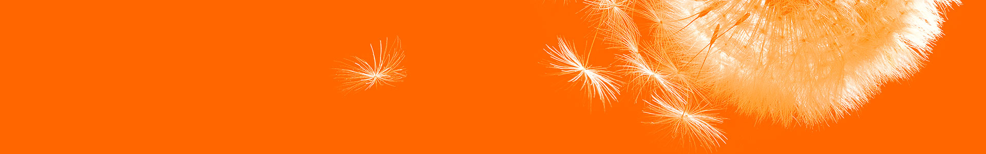 Formations en coaching